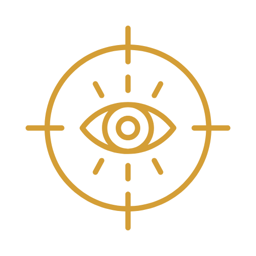 Vision